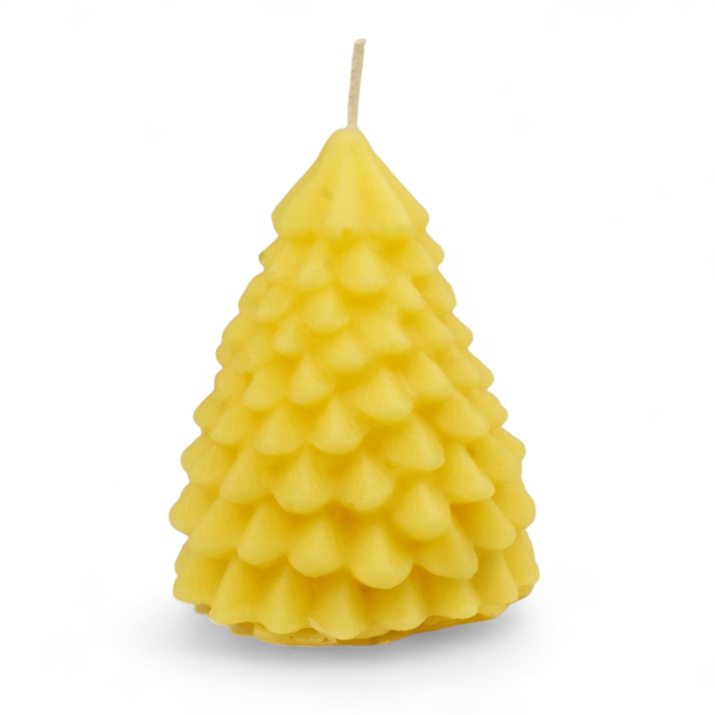 100% Beeswax Tree Candle